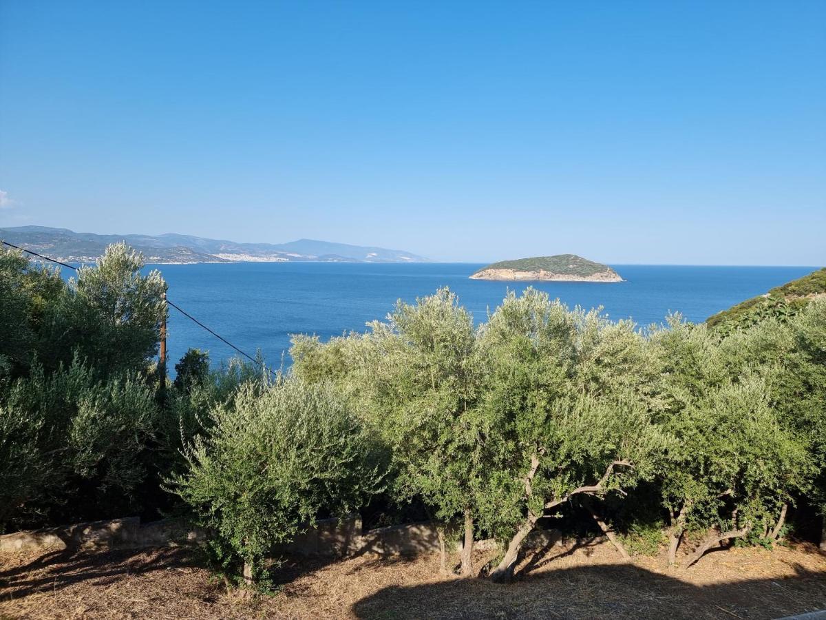 Nea Iraklitsa Maria Olive And Sea Villa מראה חיצוני תמונה